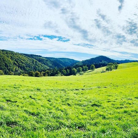 Ferienhaus Doina Gehlberg Buitenkant foto