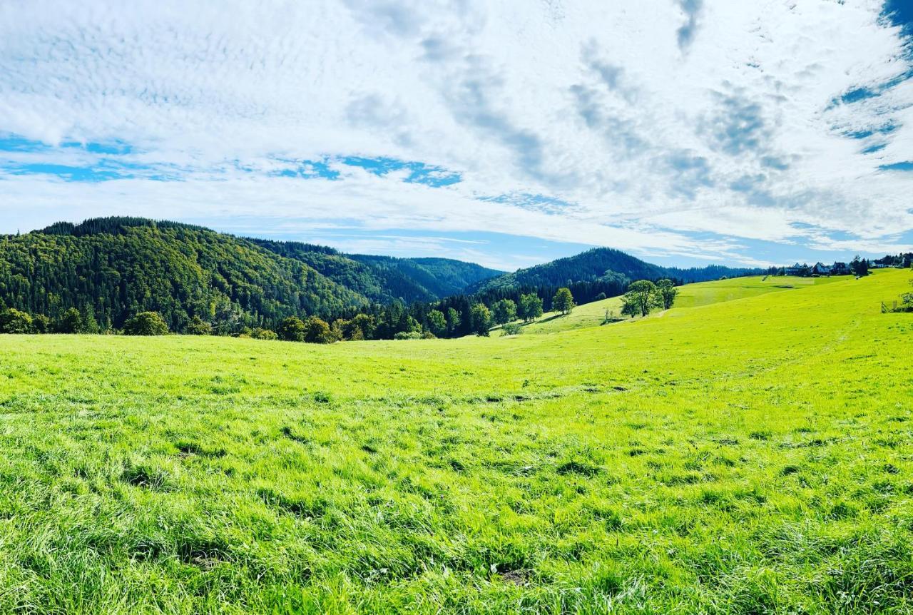 Ferienhaus Doina Gehlberg Buitenkant foto