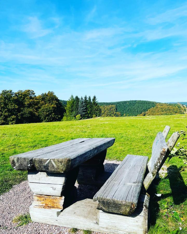 Ferienhaus Doina Gehlberg Buitenkant foto