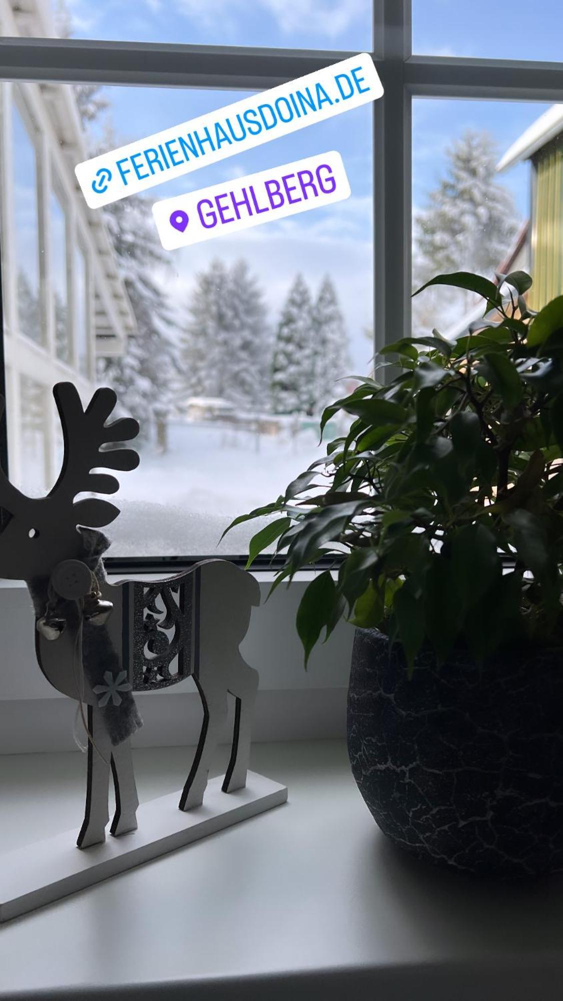 Ferienhaus Doina Gehlberg Buitenkant foto