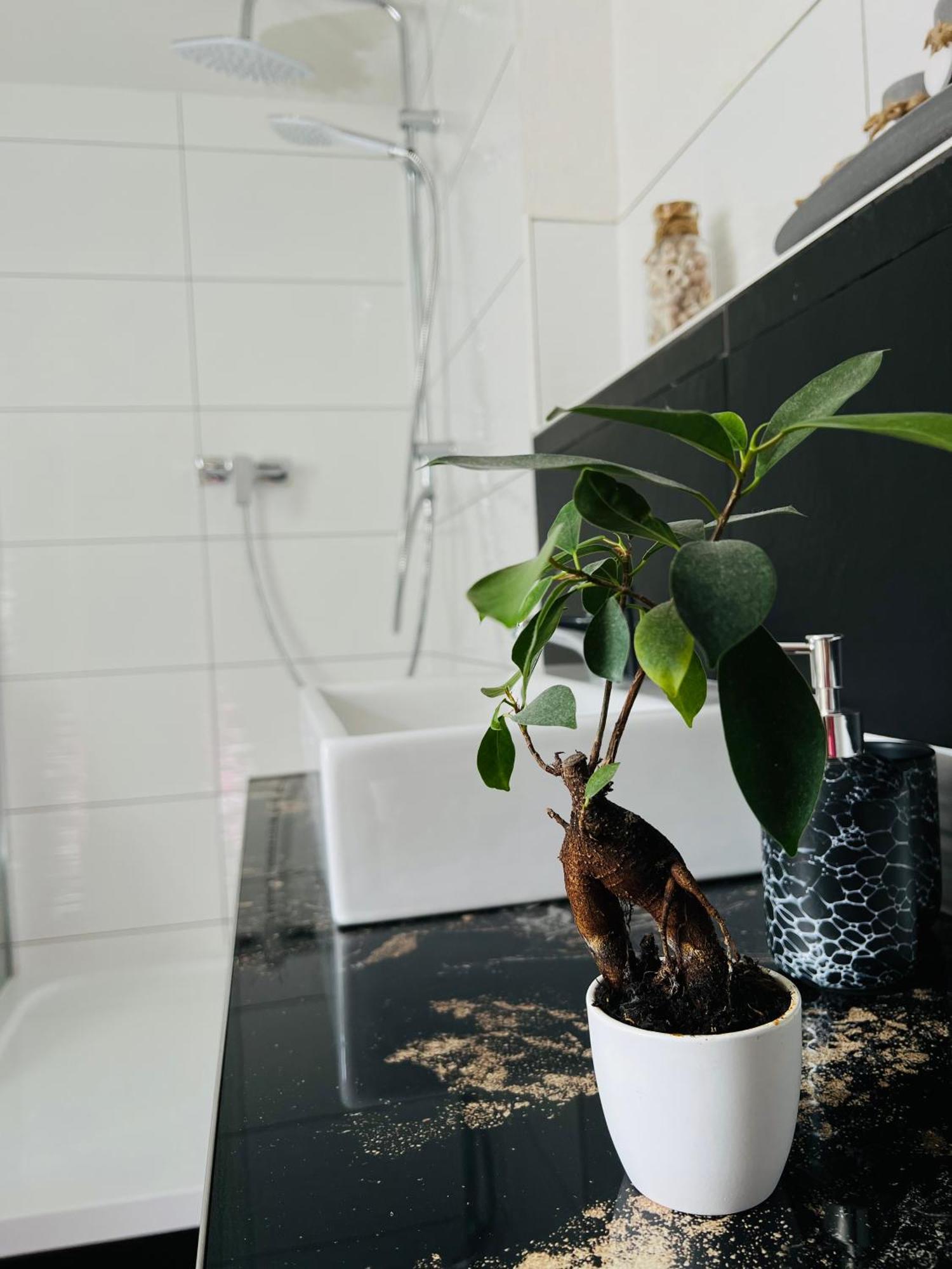 Ferienhaus Doina Gehlberg Buitenkant foto